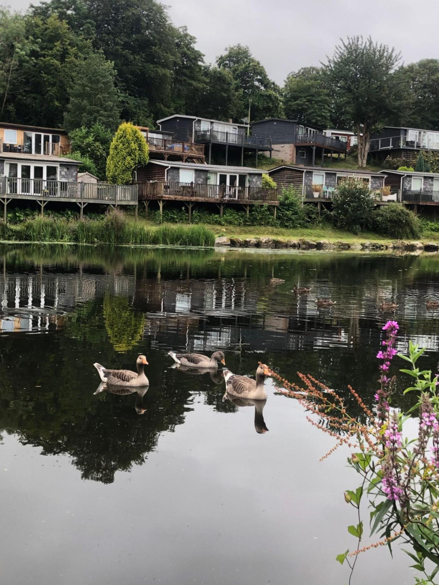 Chalet 64, Lakeside, Glan Gwna Holiday Park 카나번 외부 사진